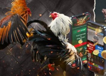 Chọi gà kingfun – Sân cược đá gà hấp dẫn nhất 2023